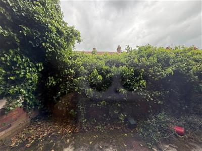 Picture 20